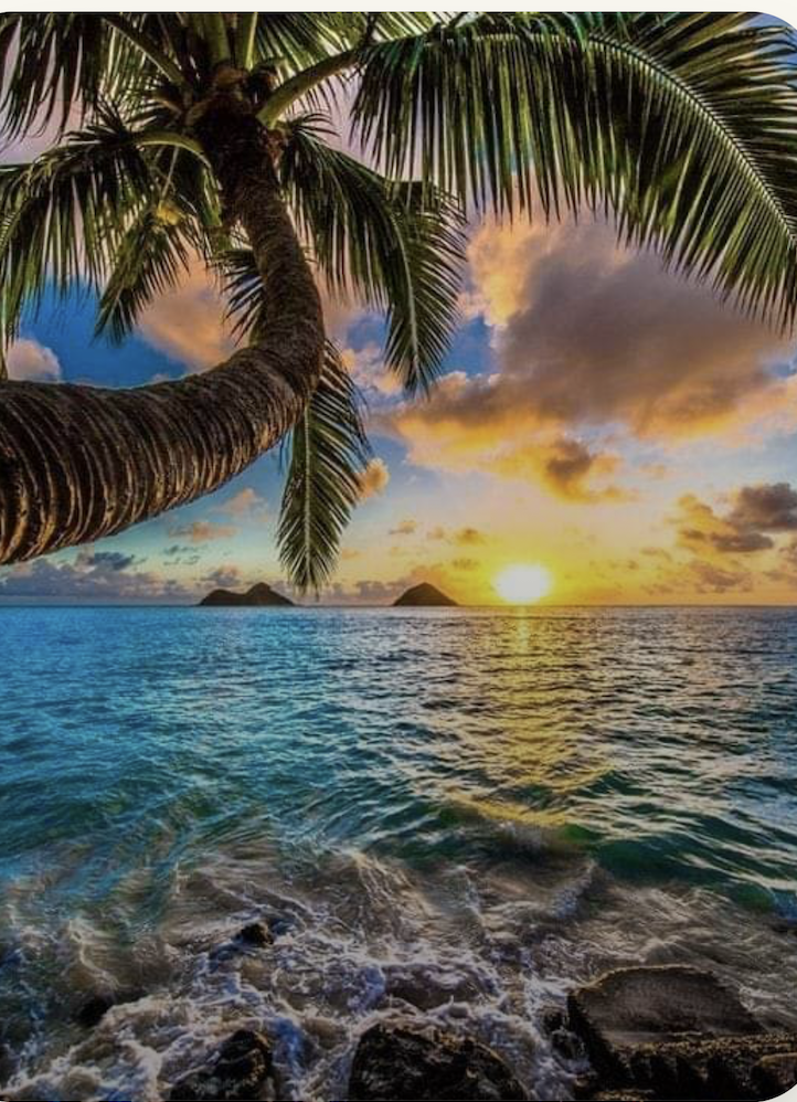 Developers Dream~ 250 Acre Development Opportunity: Eco Living Resort in Bocas Del Toro, Panama