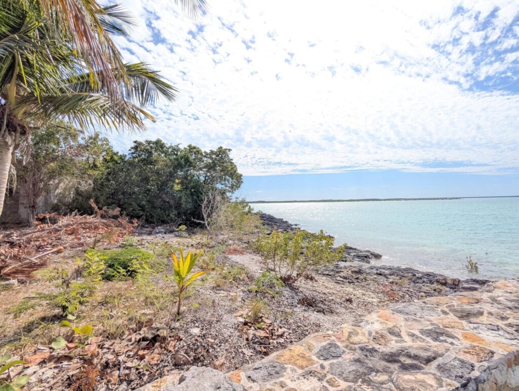 17 THE CAYS