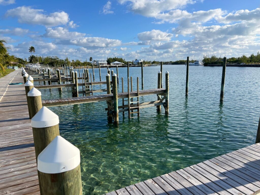 ATLANTIS #2118
