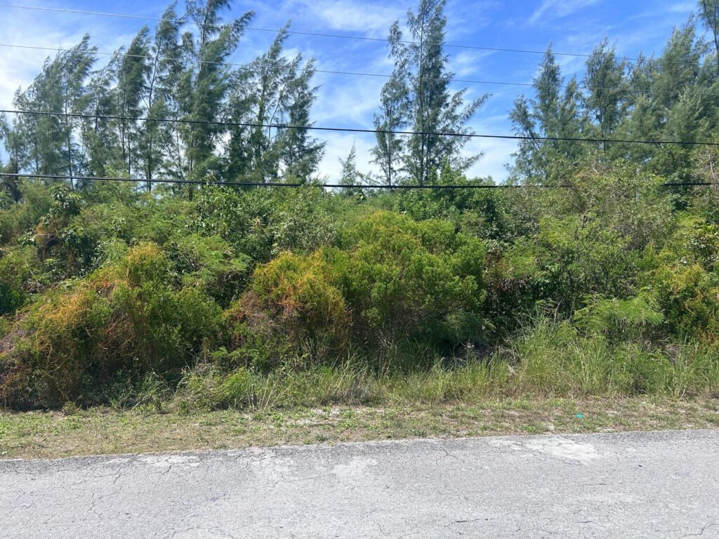 1/2 ACRE MULTI FAMILY LOT