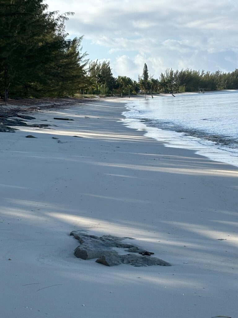 5 ACRES IN SANDY POINT, A
