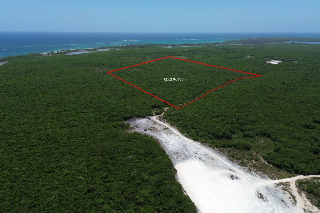 141.3 ACRES BURNS POND