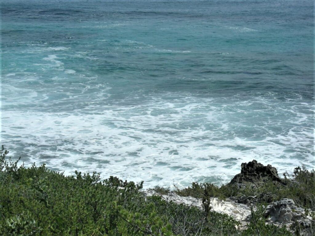OCEAN FRONT ACREAGE