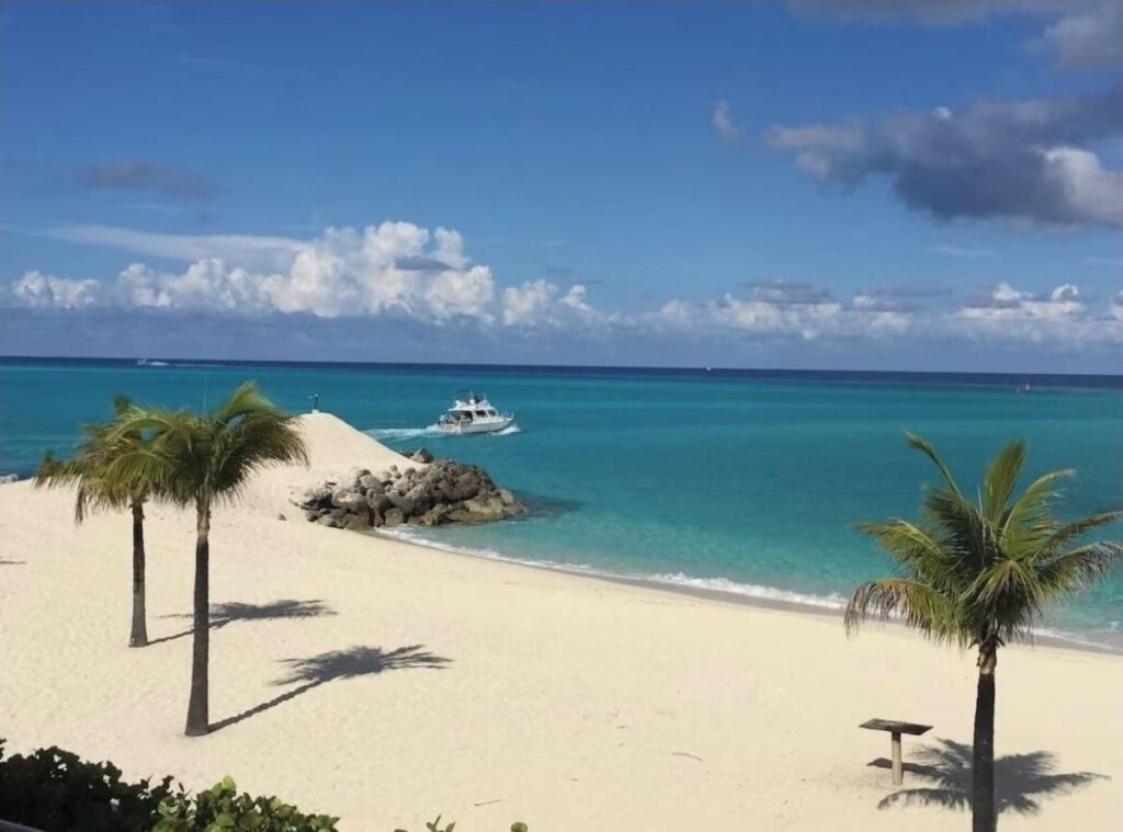 BIMINI COVE
