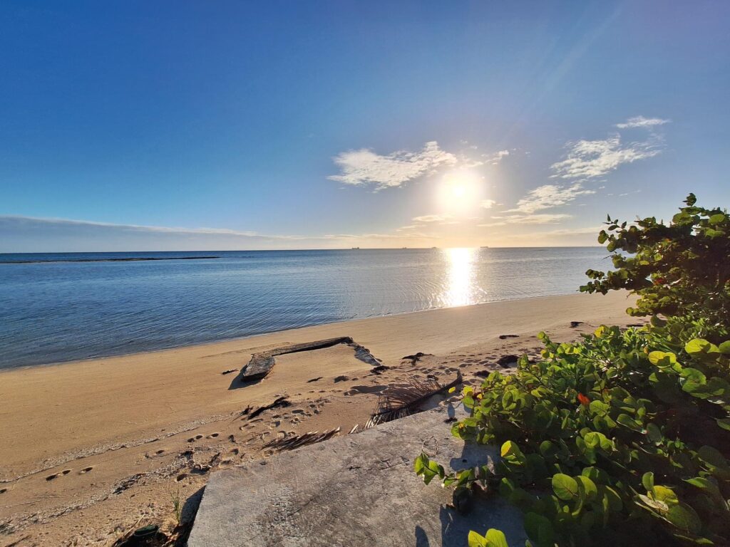 55 ADELAIDE BEACH DRIVE