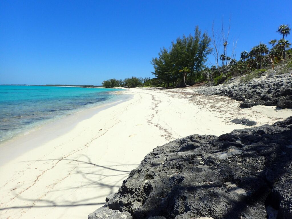 ROSE ISLAND LOTS 115&116