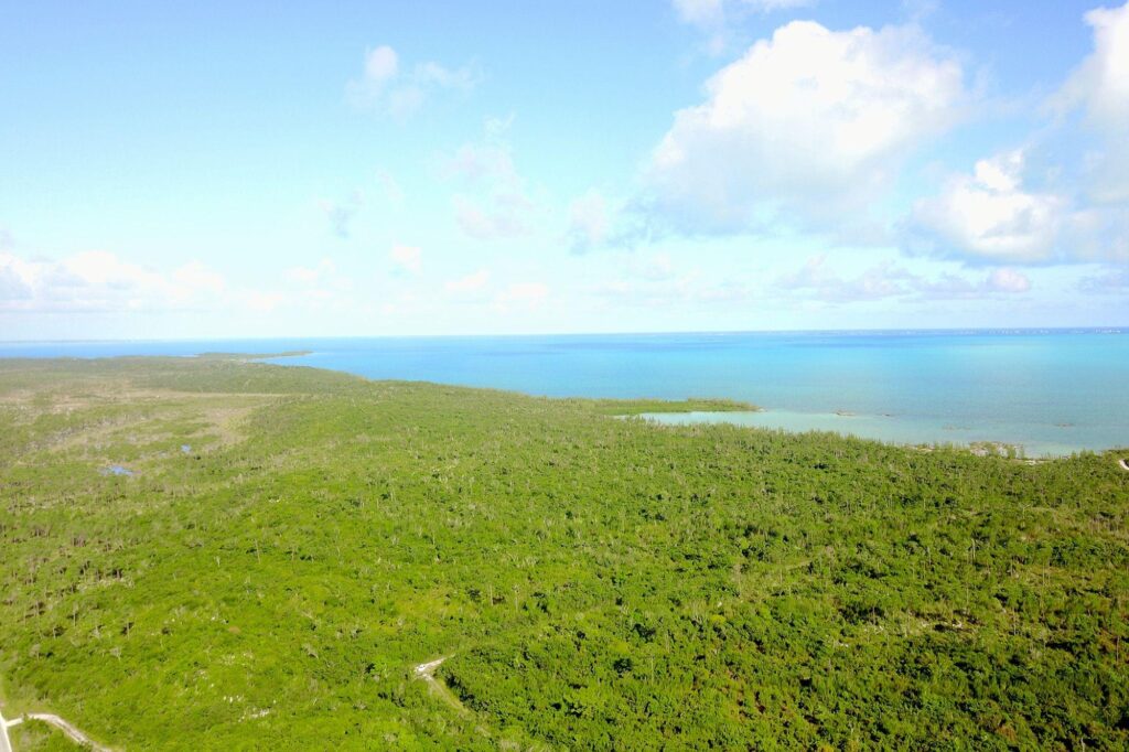 353 ACRES NORTH MARSH HAR