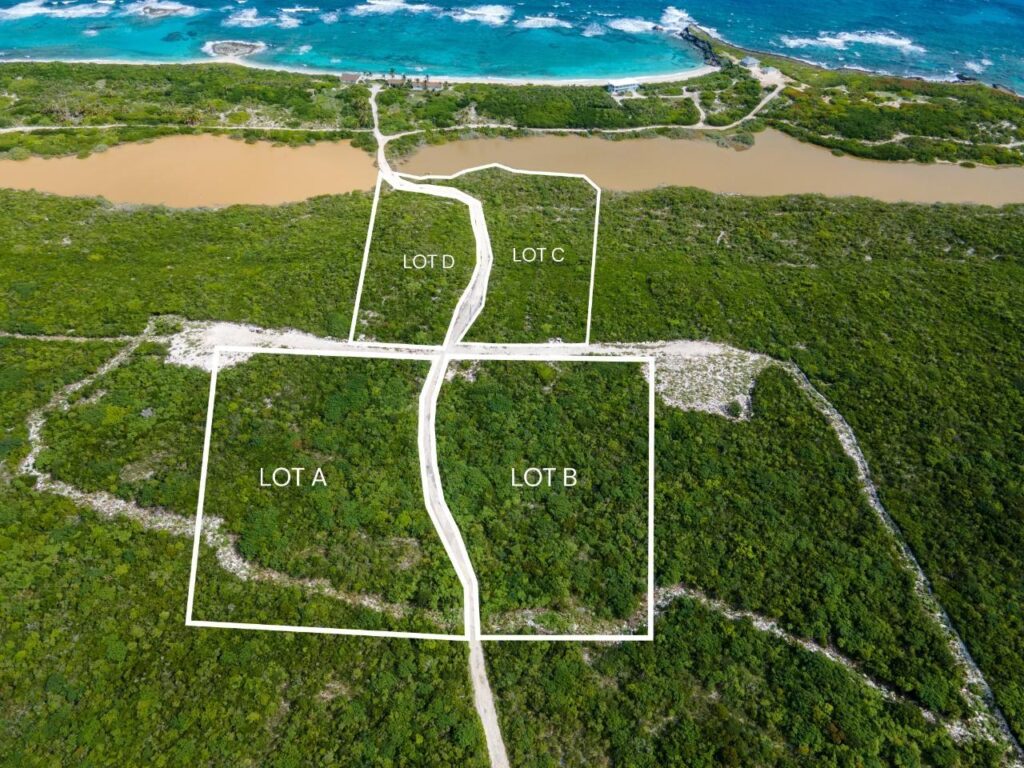 4.895 ACRES MCKANNS