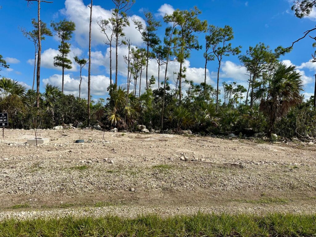 LOT 61, WINDSOR LAKES