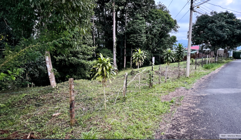 Beautiful lot for sale in San Isidro del General Costa Rica