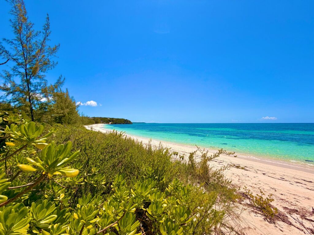28.7 acres on Flamingo Bay Beach. – MLS 67501