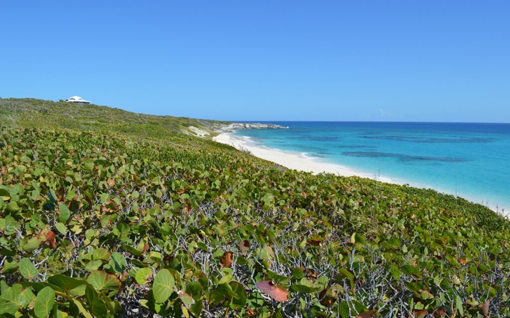 2.1 Acre Beachfront Parcel with Dockage – MLS 66225
