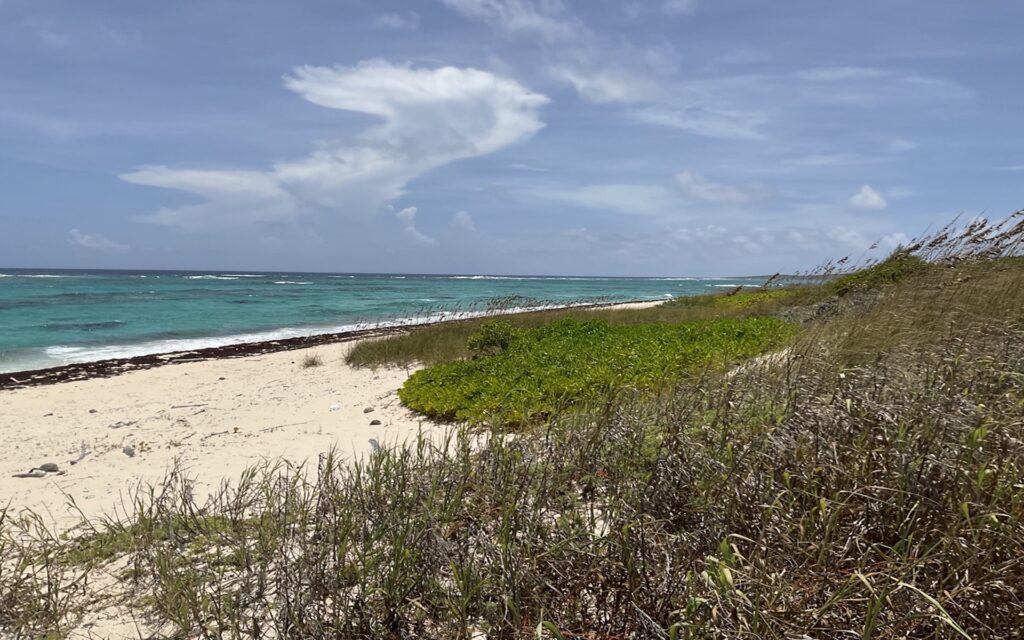 Beachfront Lot, 29.82 Acre – MLS 68148