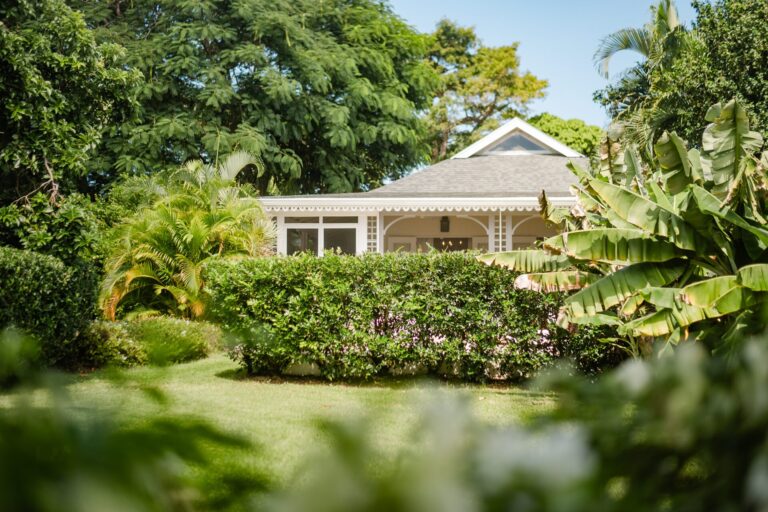 Sea-East Palm Grove  | Four Seasons Nevis Villa for Sale