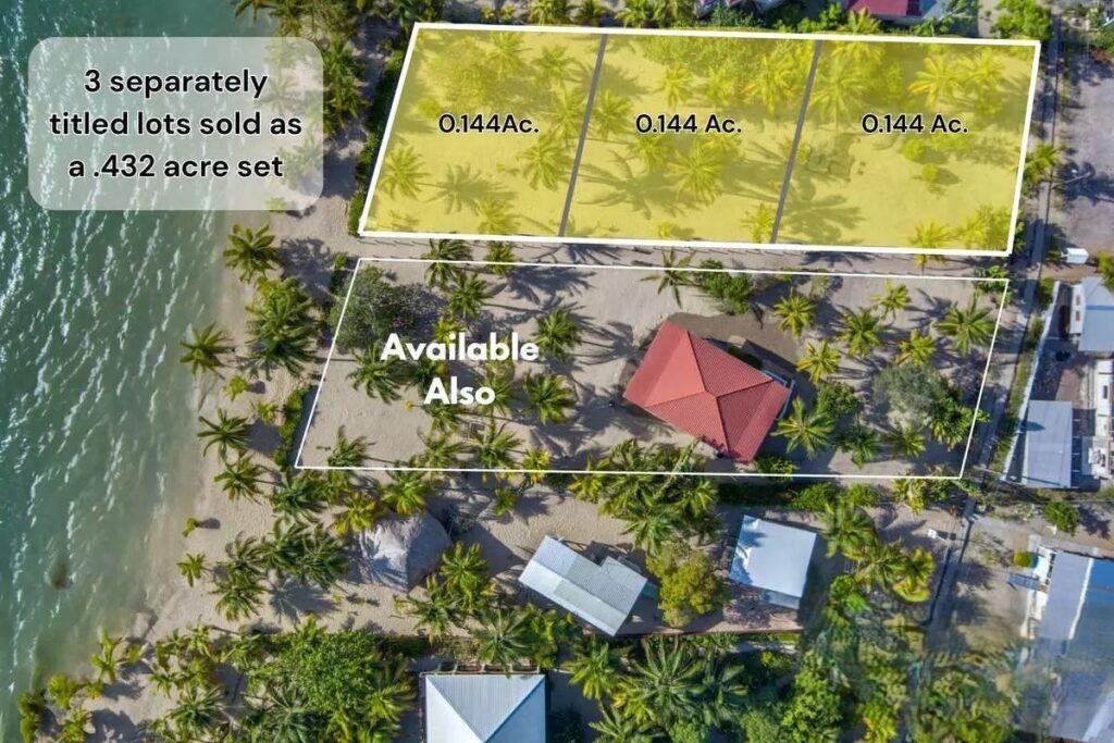 3 Lots Deep Beachfront in Placencia!