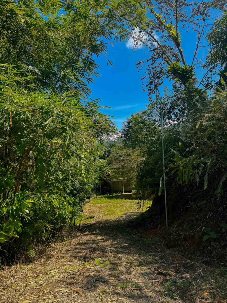 Mountain-View Property in Villa Nueva Near Quepos Costa Rica
