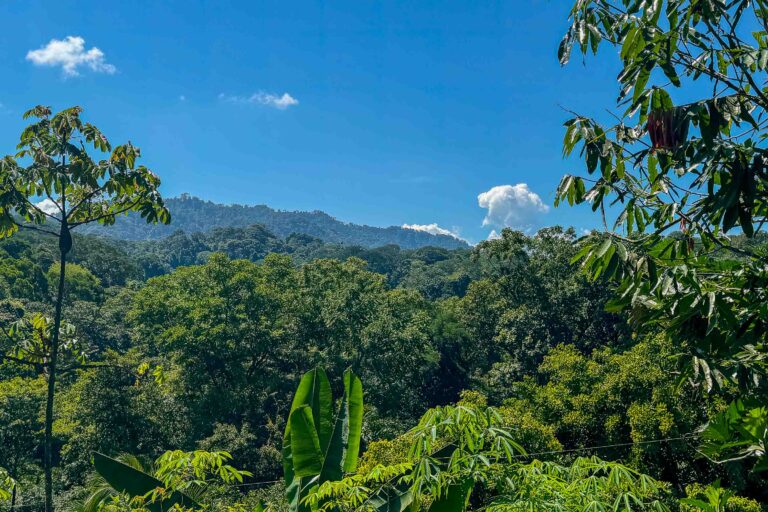 Mountain-View Property in Villa Nueva Near Quepos Costa Rica