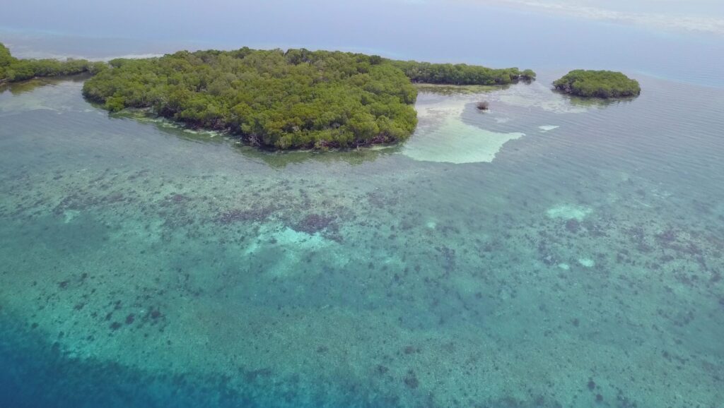 South Saddle Caye Your Own Island in the Caribbean
