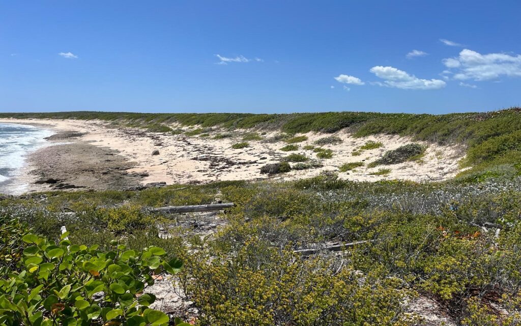 150 Acres, Taites – MLS 68861