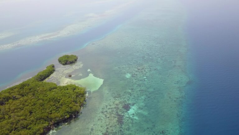 South Saddle Caye Your Own Island in the Caribbean